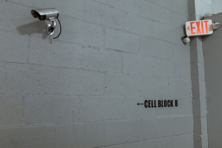 Indoor cameras